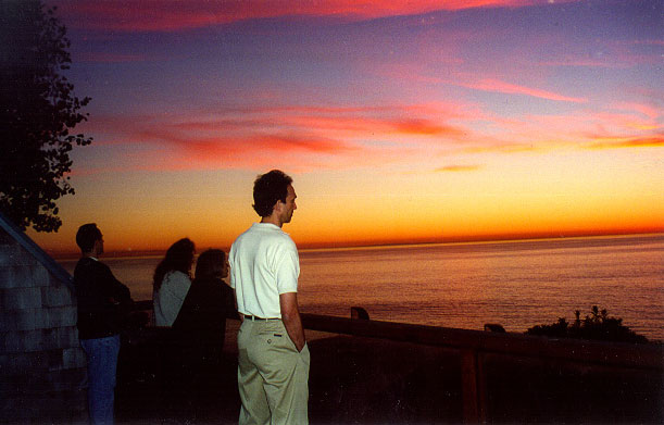 Vivian Levin's desktop background